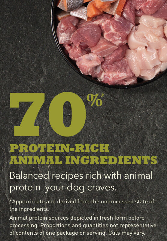 Acana grasslands dog food ingredients 2025